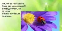 Полезная божья коровка