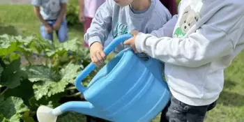 Не забываем про огород
