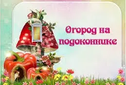Огород на подоконнике