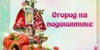 Огород на подоконнике