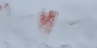 Дети детского сада окунулись в зимнюю сказку