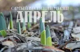 Месяц созидания и благоустройства