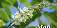 Месяц Великой Победы и результативности