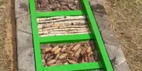 "Волшебная тропинка здоровья"