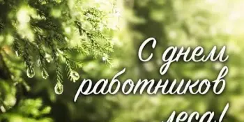 "Хранителям зелёных сокровищ посвящается": поздравляем с Днём работников леса!