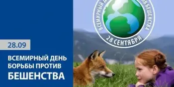Всемирный день борьбы против бешенства
