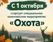 Бережем родную природу и заботимся о безопасности!