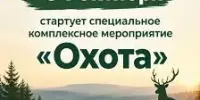 Бережем родную природу и заботимся о безопасности!